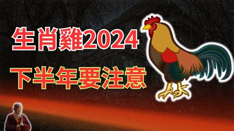 屬雞今年運勢|2024 年屬雞星座運勢：非常積極的一年